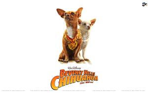 Beverly Hills Chihuahua